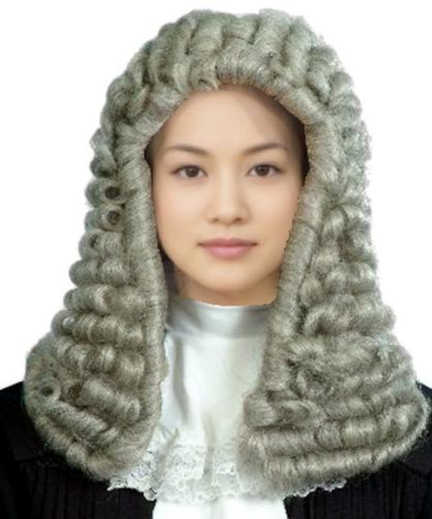 SallyWig