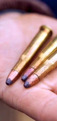 bullet1