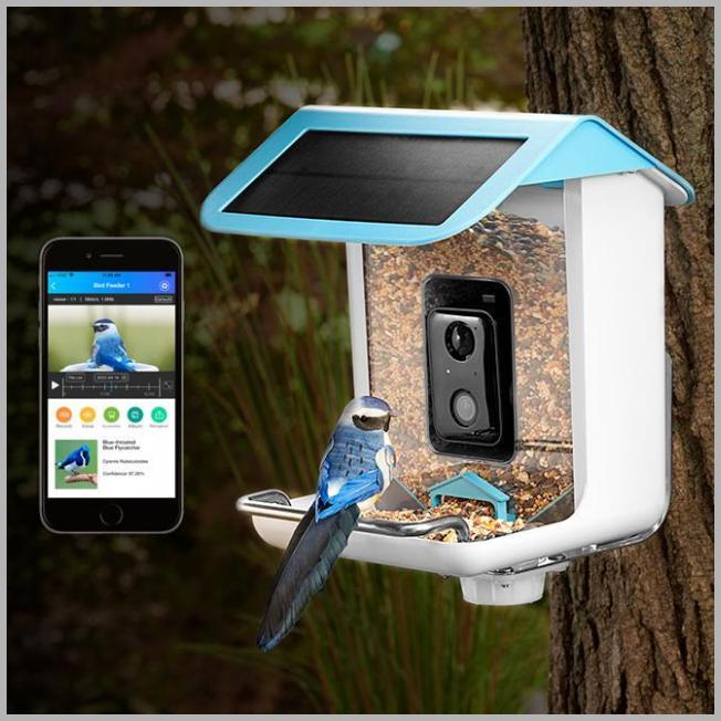 Video Camera Bird Feeder - White/Blue - [9.7 In X 8.7 In X 11 In]